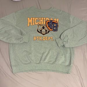 Cute Sage Green Michigan Sweatshirt
